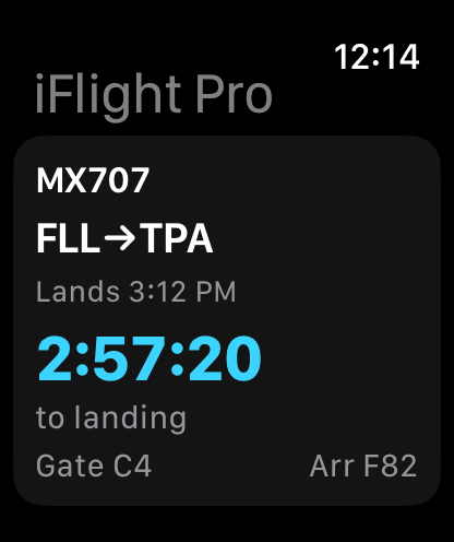 iFlight Pro on Apple Watch: flight in the air with countdown to landing